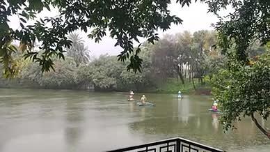 绿植绿叶自然风光雨天湖水拍摄视频的预览图